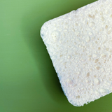 Biodegradable Sponge