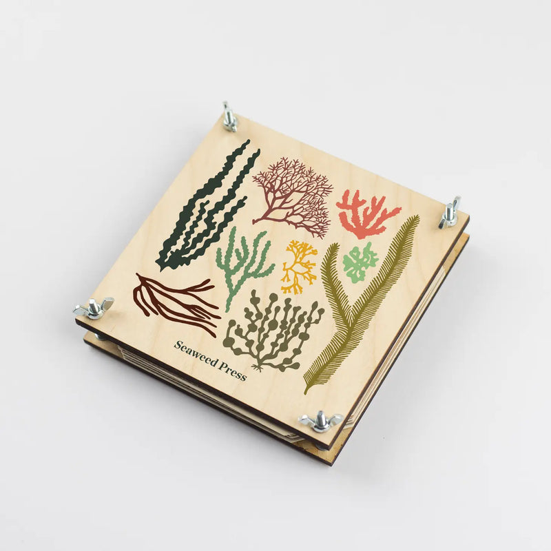 Seaweed Press Kit