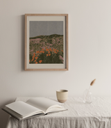 CALIFORNIA POPPIES Print