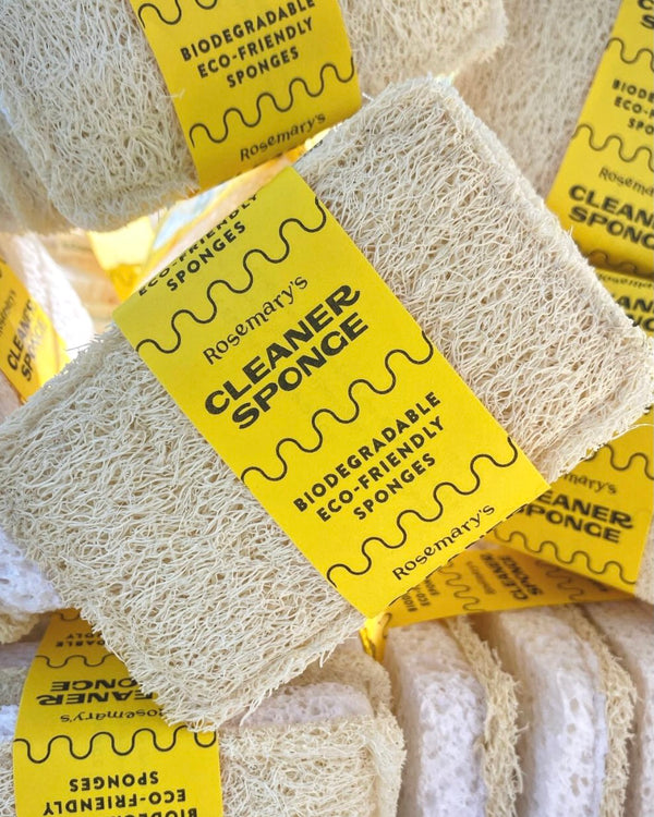 Biodegradable Sponge