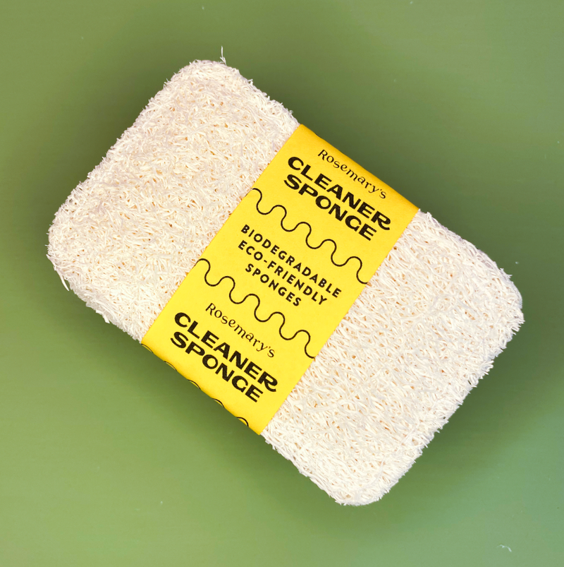 Biodegradable Sponge