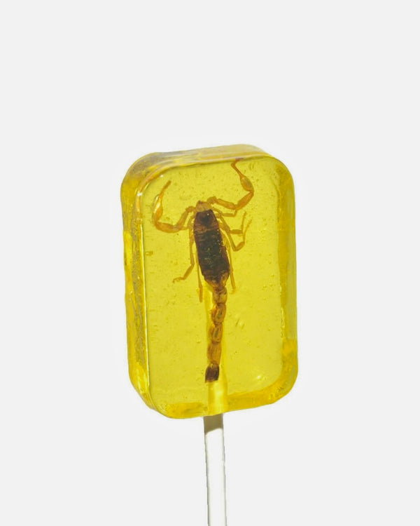 Scorpion Sucker