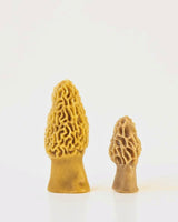 Morel Mushroom Beeswax Candle