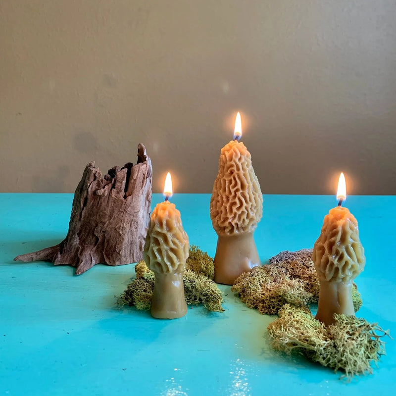 Morel Mushroom Beeswax Candle