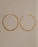 Lasso Earrings