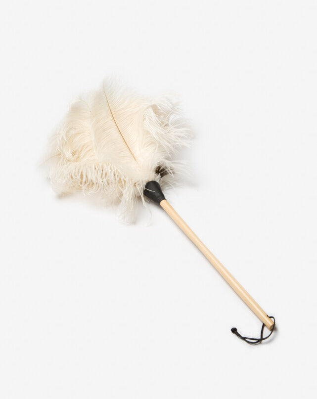 Ostrich Feather Duster