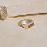 Basin Ring