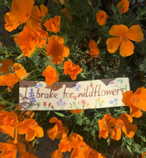 I BRAKE FOR WILDFLOWERS BUMPERSTICKER