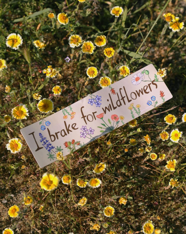 I BRAKE FOR WILDFLOWERS BUMPERSTICKER