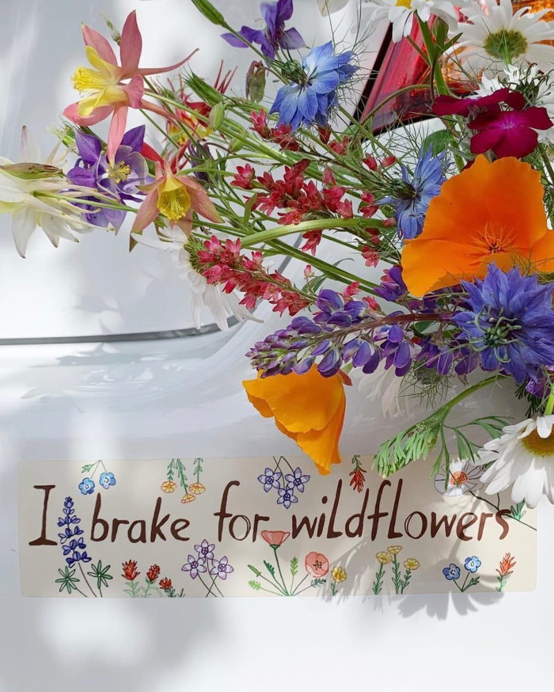 I BRAKE FOR WILDFLOWERS BUMPERSTICKER