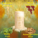 Healing Medicinal Mushroom & Adaptogen Tonic