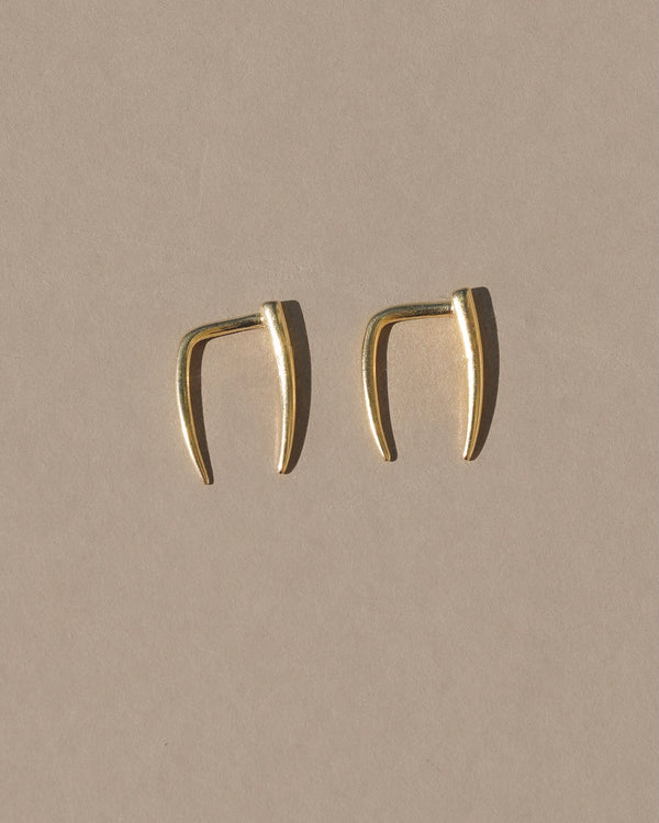 Tigre Earrings