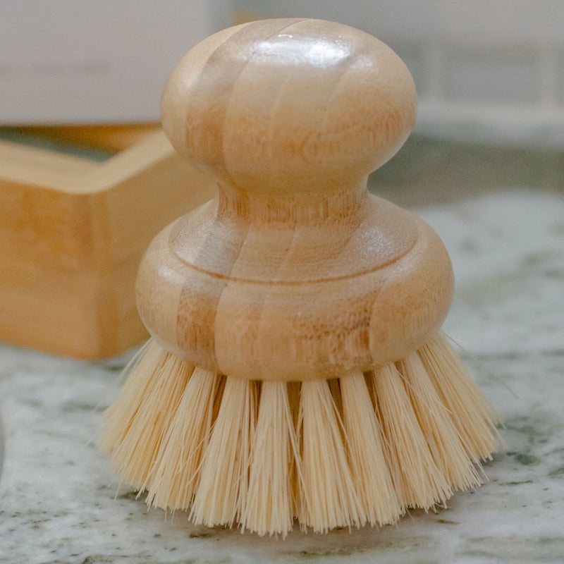 Pot Scrubber Brush