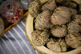 Rose of Jericho