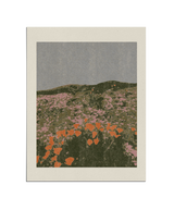 CALIFORNIA POPPIES Print