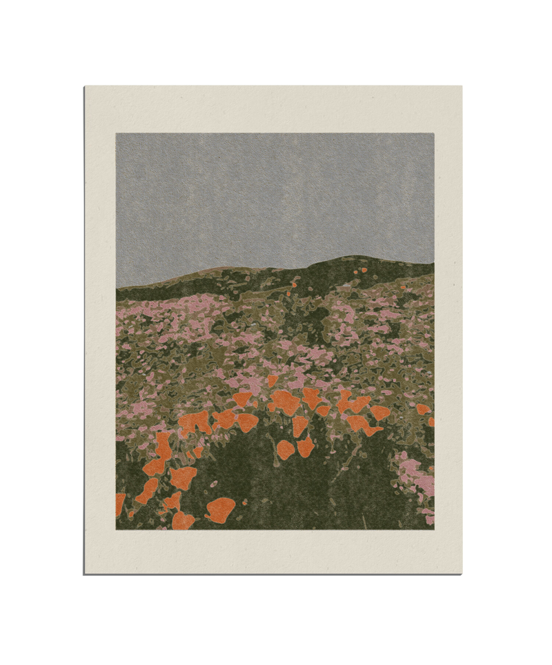 CALIFORNIA POPPIES Print