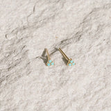 Zion Earring